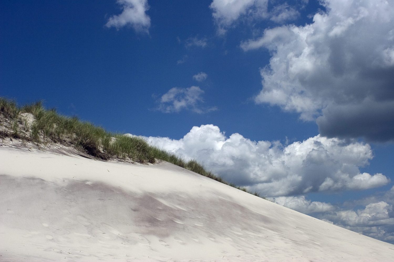 Fire Island, Long Island Sand Dune