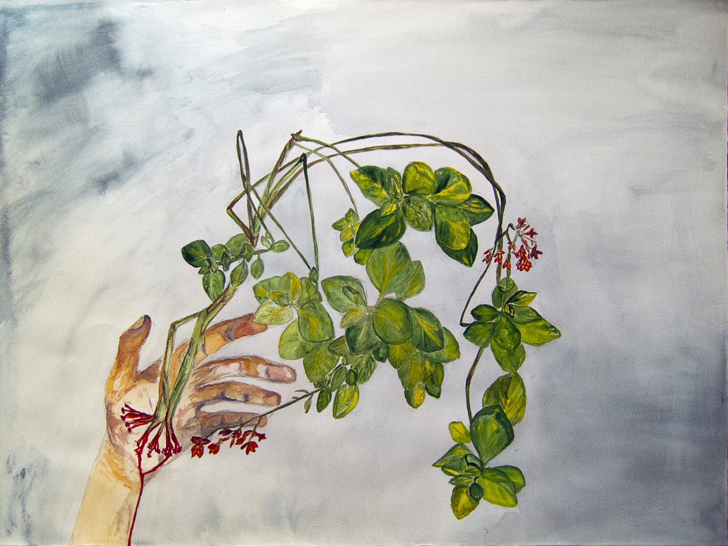 Paining of a Plant coming out of a Bloody Hand