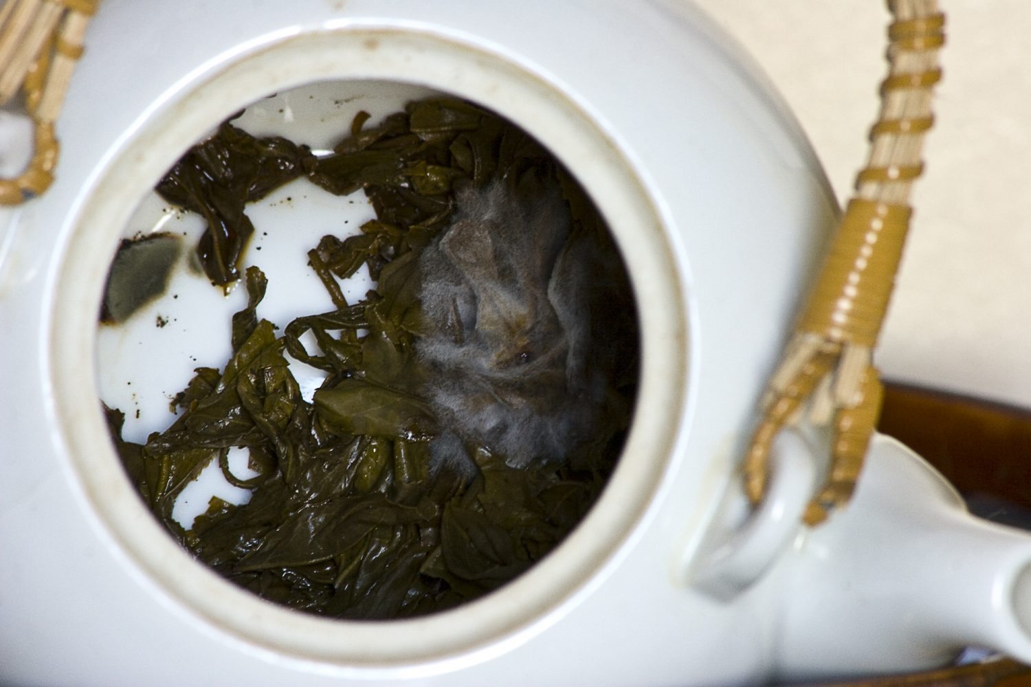 Moldy Tea Leaves in Tea Pot