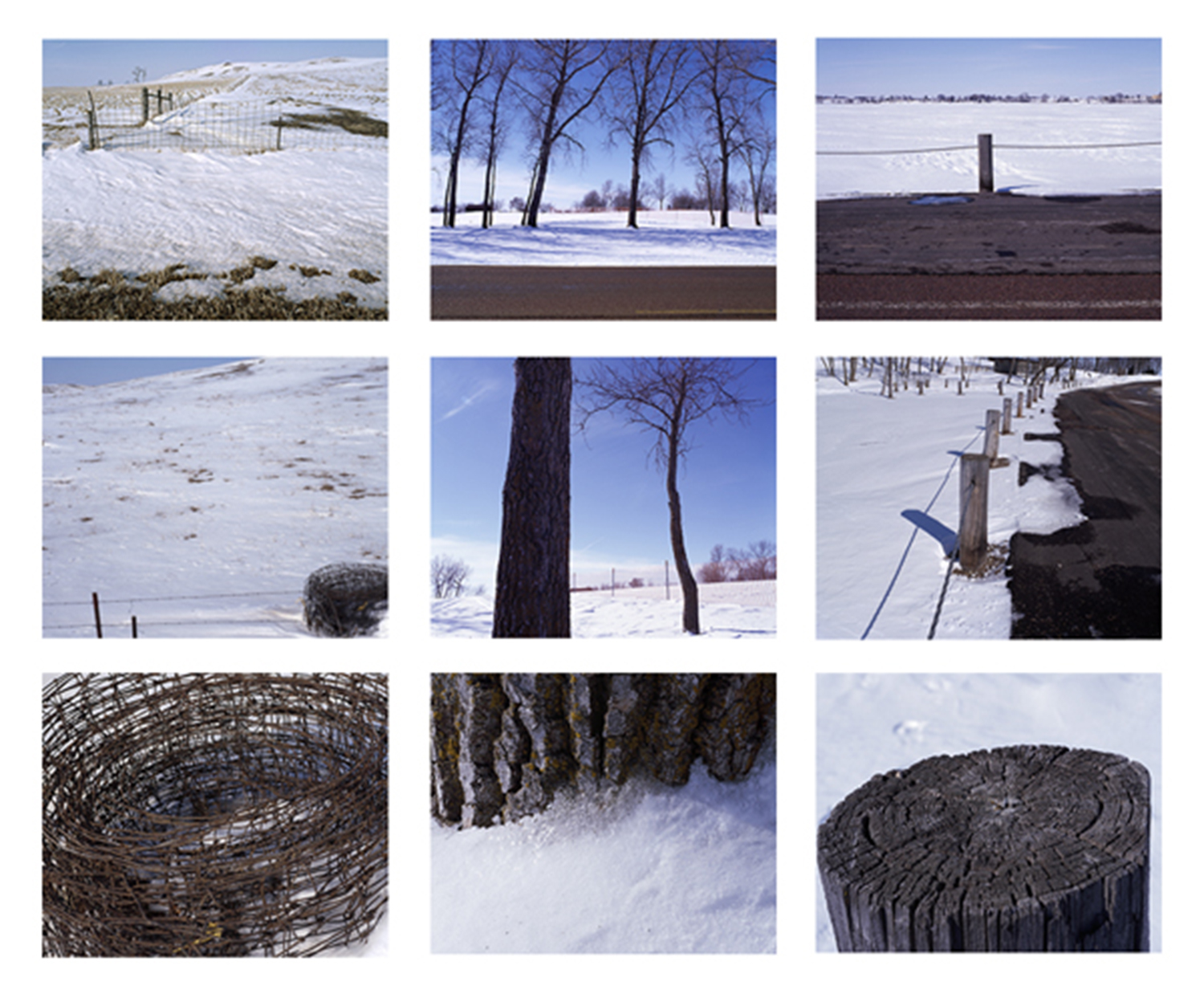 Grid of Rural South Dakota Sunny Winter